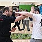 Отработка боевого применения движений Синъицюань